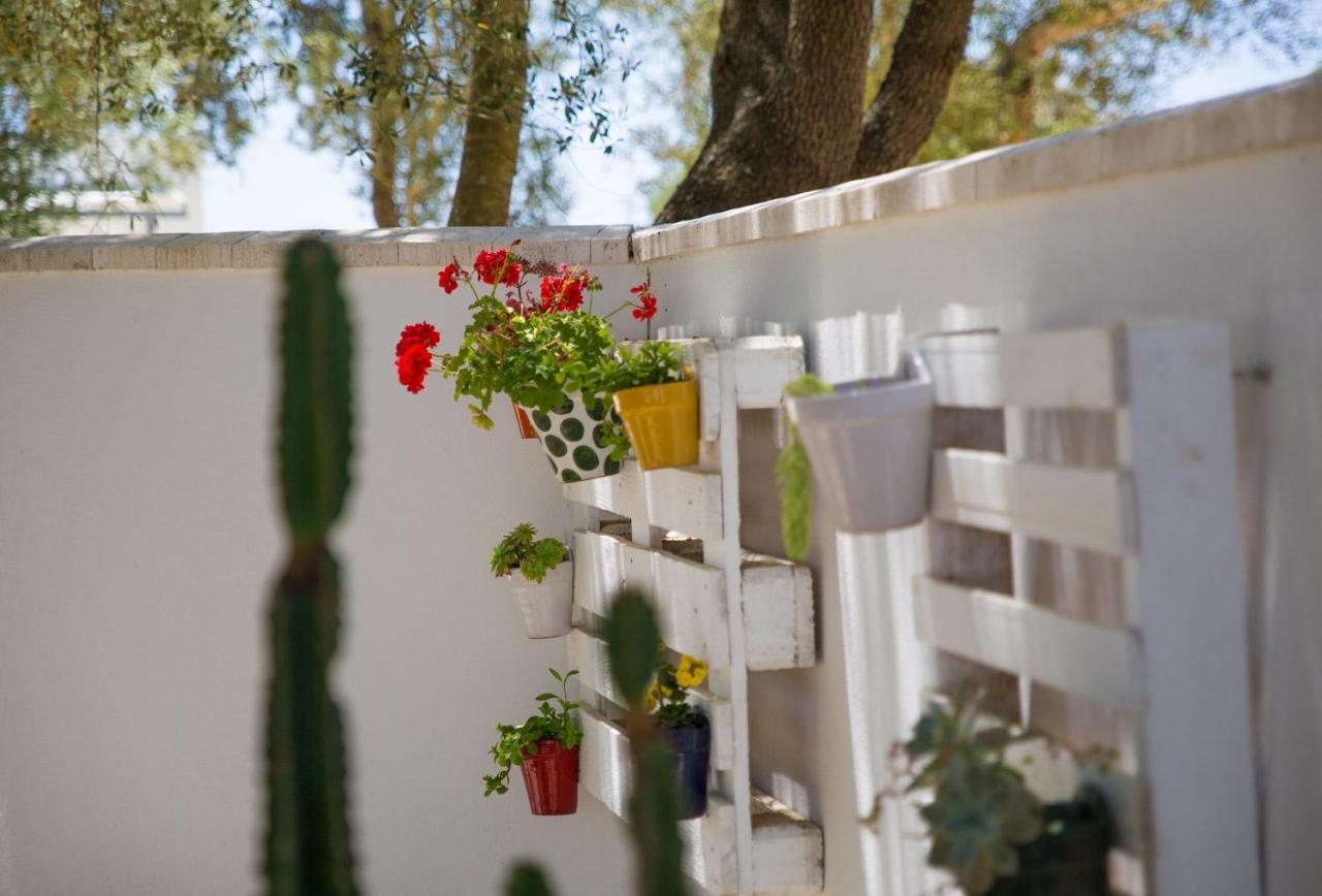 Zahobrena Villa Zahora Eksteriør bilde